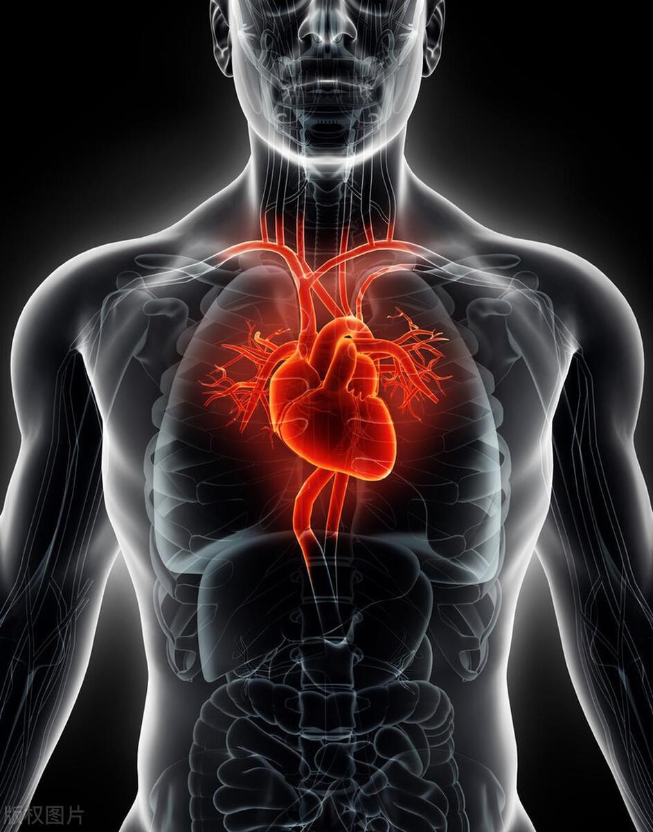 干细胞最新进展与爱的奇迹