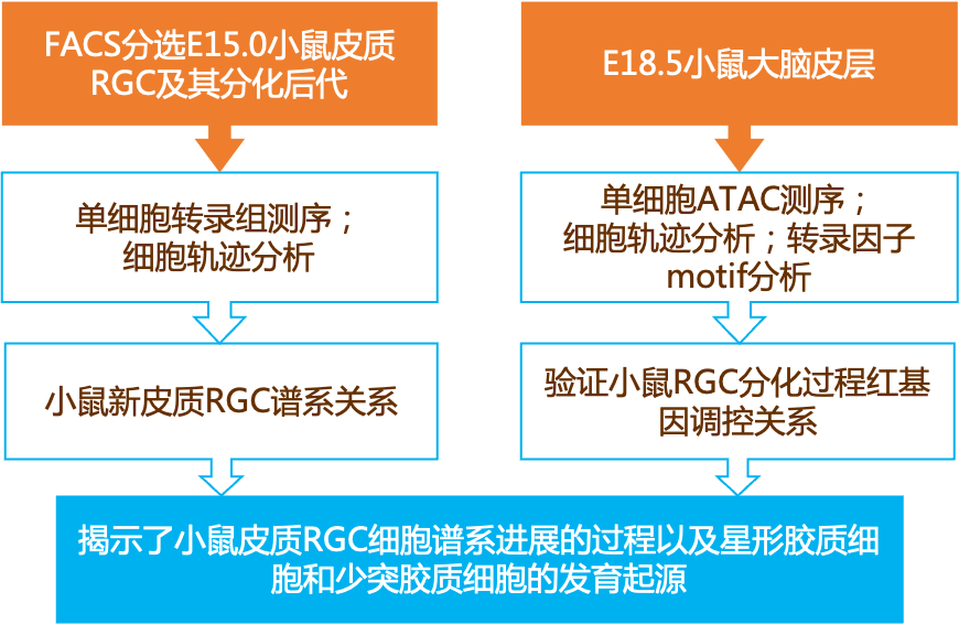 新奥门资料大全免费查阅,电信版DUZ222.21综合解读解析
