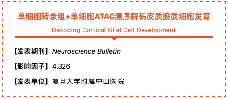 新奥门资料大全免费查阅,电信版DUZ222.21综合解读解析