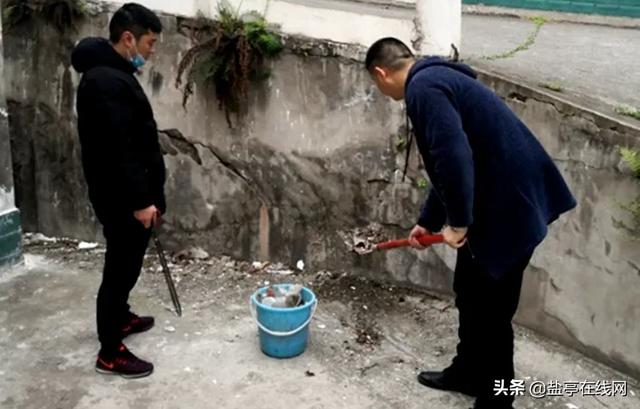 四川盐亭最新新闻,小城里的温馨日常