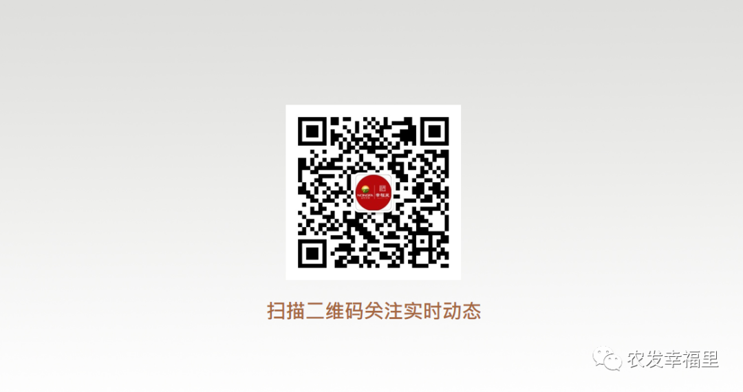 “百分百精准一肖一码,全面评估标准揭晓_经济版OKN735.62”