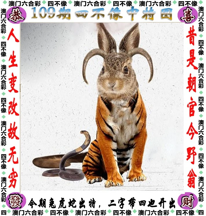 澳门一码中四不像解析:一肖一码精选预测_移动端KTQ375.98