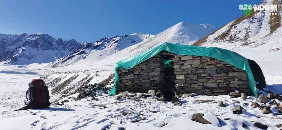 狼塔最新,一段温馨的探险日常