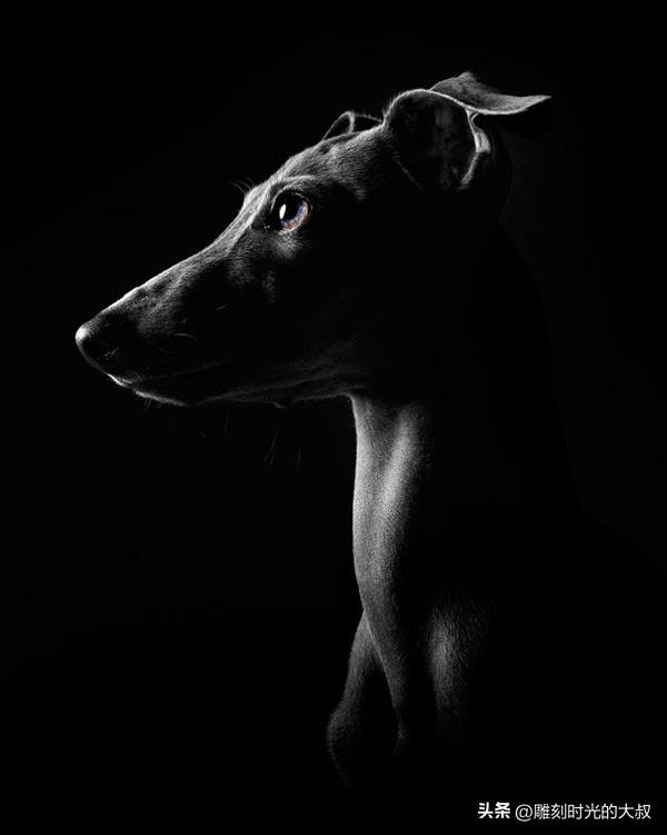 最新照明技术,光的魔法与家的温馨夜