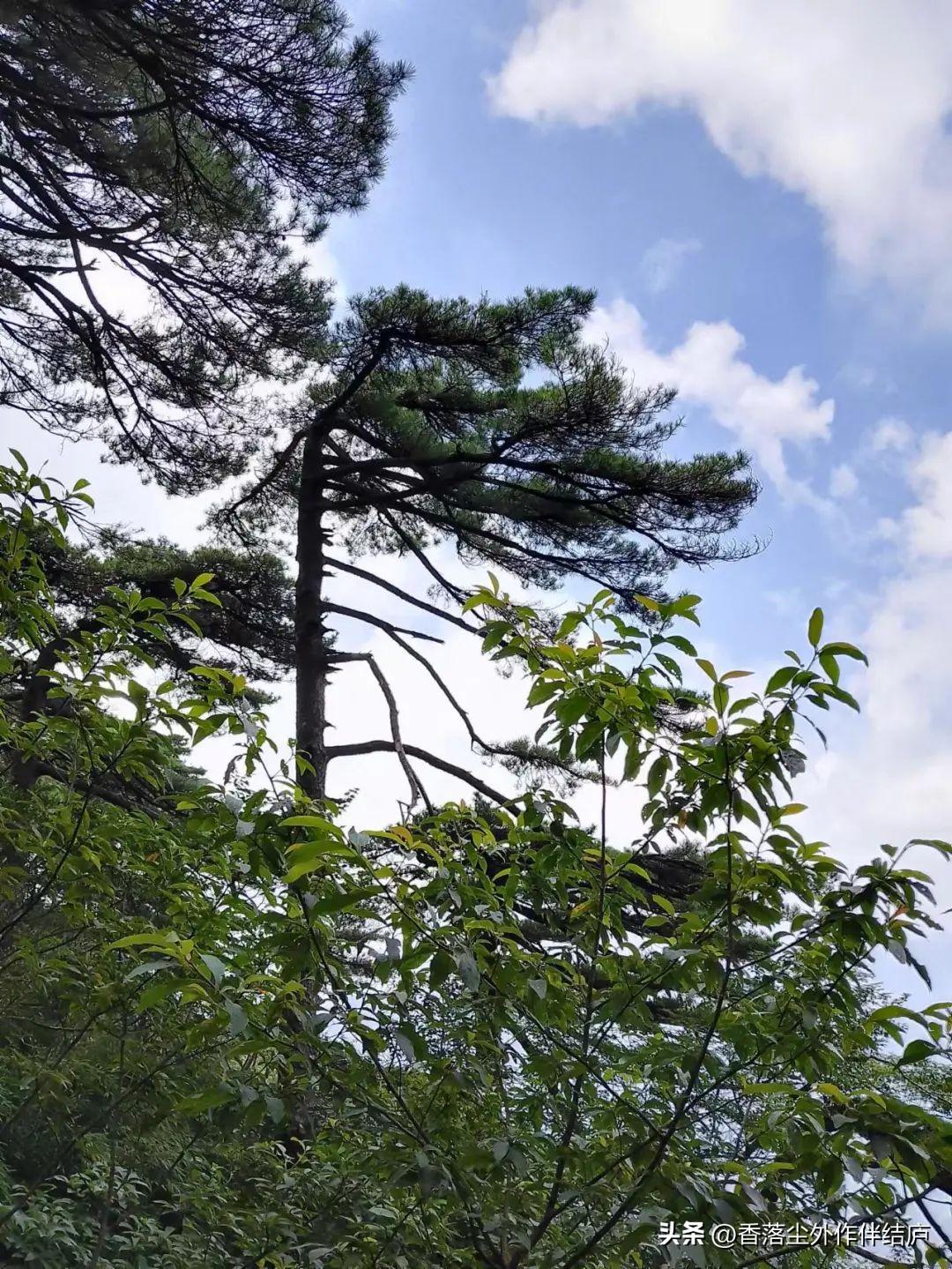 直播孙大圣,神话与现实交融的奇迹时刻