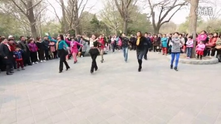 紫竹院广场舞最新现象,多元视角下的探讨