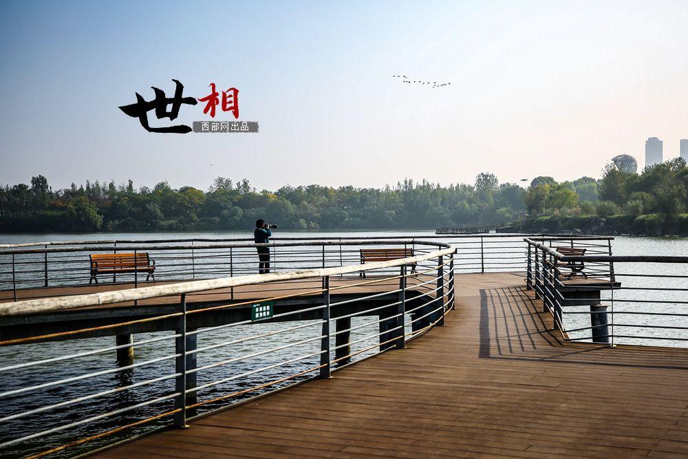 讯鸟人直播,探索新一代直播生态的未来之路