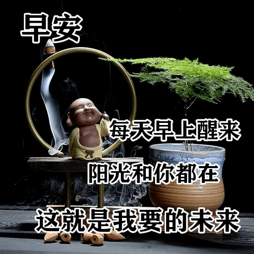 中非关系最新动态,中非温馨日常故事揭示涉政进展