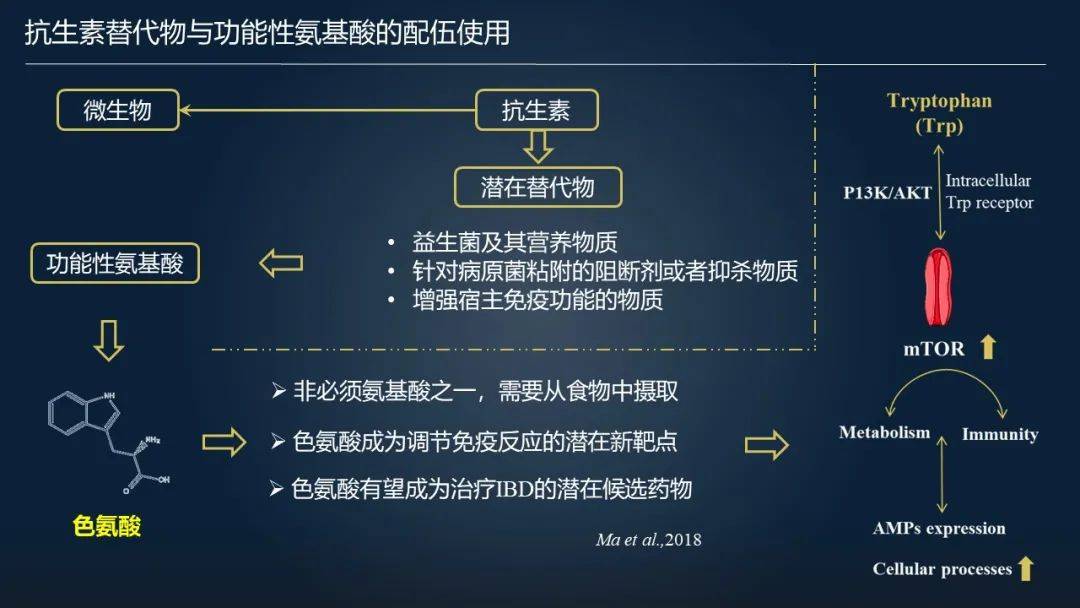 993994跑狗图详解,ZQF68.413加速版配置攻略