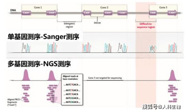 “精准一码解码,多维度诊断服务——IGM68.529升级版”