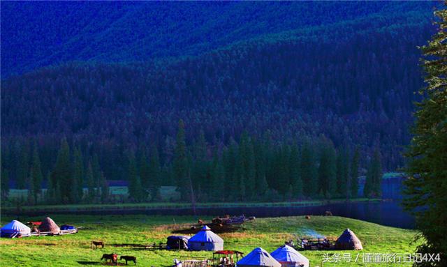 米兰苗直播,一场探索自然美景的治愈之旅