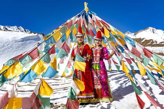 米兰苗直播,一场探索自然美景的治愈之旅