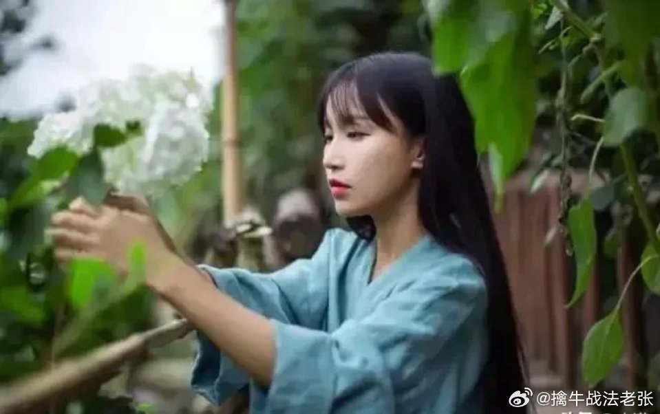 “李子柒商标被判无效,微念操作指南解析_XFC68.175定制版”