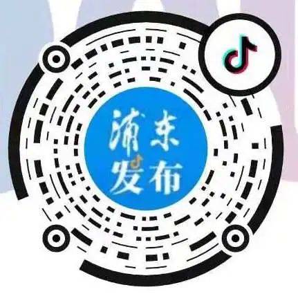 振动锤直播,现代施工的新选择