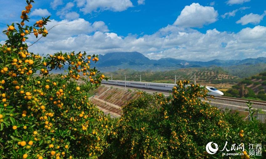 向莆铁路最新动态,激发激情与梦想的铁路进展