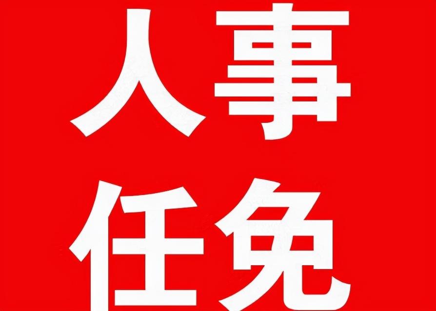 山西省最新人事调整引领变革,科技重塑未来,前沿高科技魅力展现