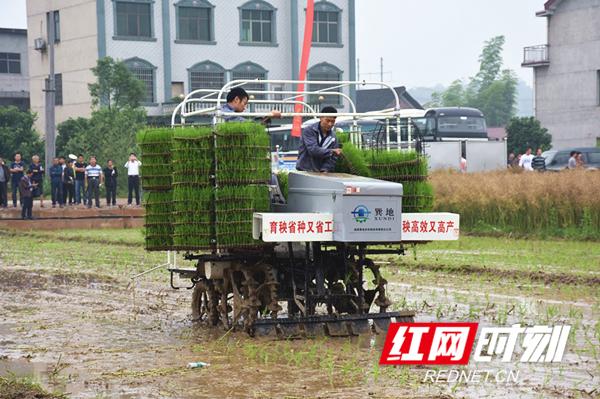 娄底通用机场最新动态,小巷深处的飞行秘密与独特风味小店揭秘