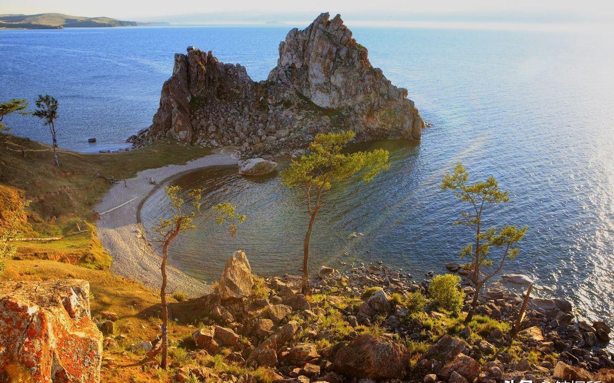 奇妙生物公司最新暴光,变化中的自信与成就感