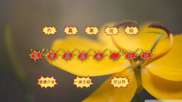 新奥门4949正版大全大众网,统计材料解释设想_PIJ51.753奢华版