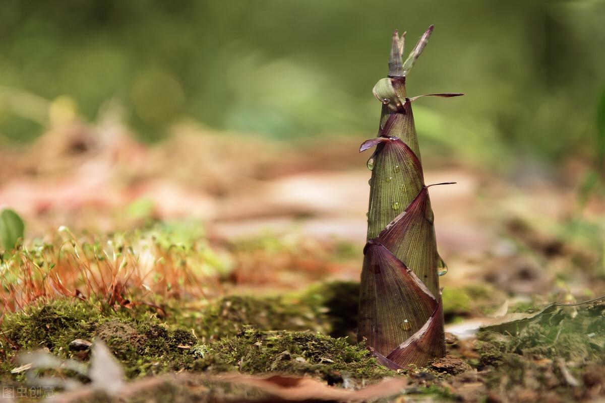 迷信直播间,参与学习技能与掌握技能的详细指南
