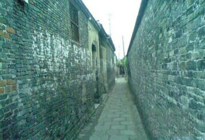 青翘的最新信息,小巷中的隐秘宝藏