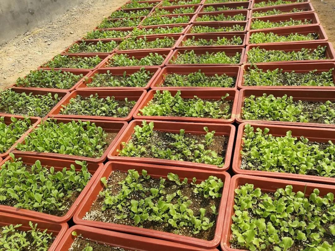 威海经区最新餐饮招聘,威海经区最新餐饮招聘,变化带来自信与成就感,我们在等你!