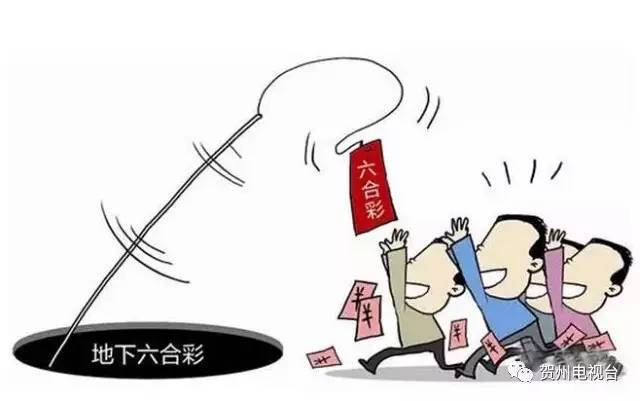 澳门六合资料网站,持续性实施方案_DVI94.441清晰版