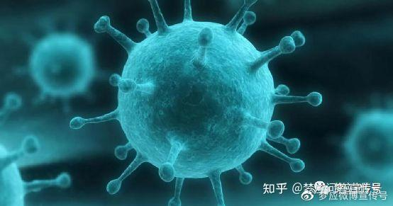 一品堂中特网,实用性解读策略_ESB79.562明星版