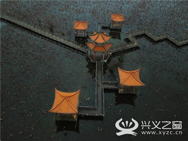 花都特工最新章节的秘密,小巷中的独特风味