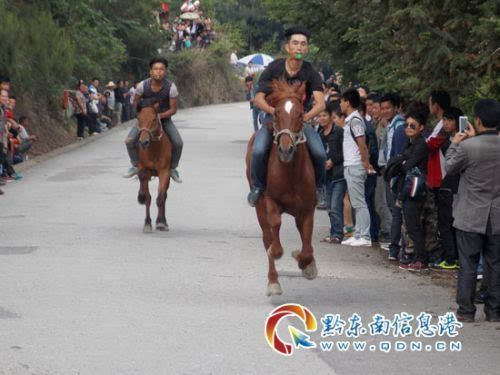 苗族斗牛节最新视频,一场充满欢笑与感动的节日之旅