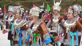 苗族斗牛节最新视频,一场充满欢笑与感动的节日之旅