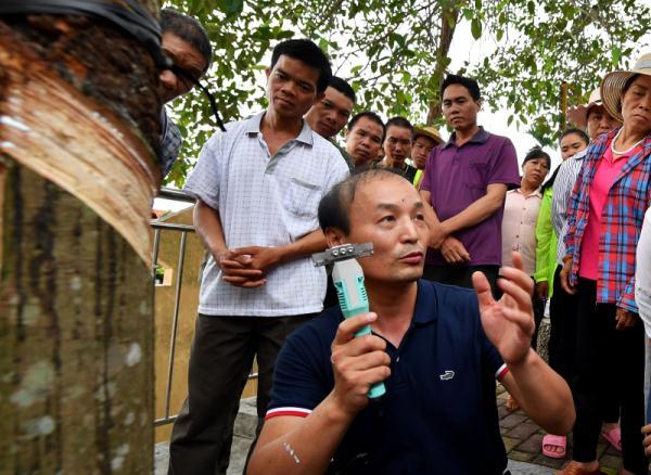 海南橡胶最新新闻——了解与探索的步骤指南