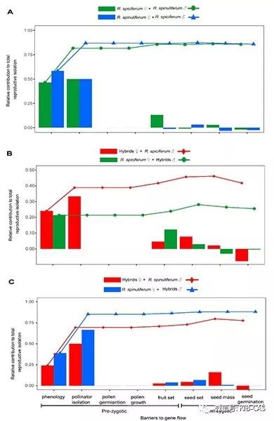 澳门今晚开特马+开奖结果走势图,机制评估方案_LAE79.191竞技版
