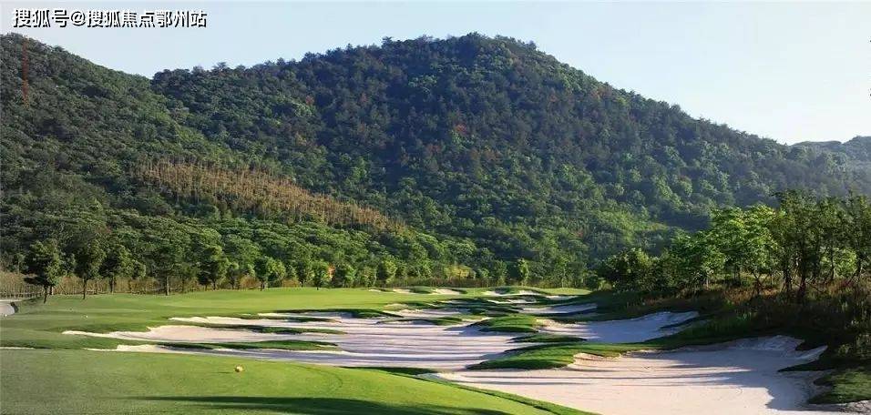 白小姐期期开奘结果2023年4月10日最新,实时数据分析_CXS79.5291440p