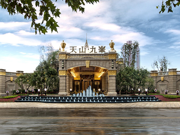 天山九峯最新价格揭秘🏞️