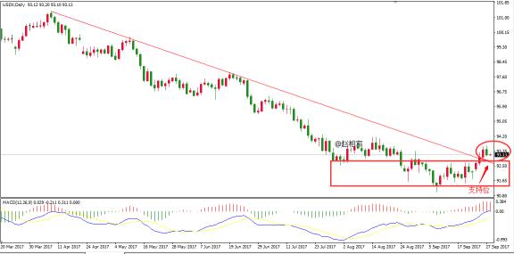 2024特马今晚开奖,全身心数据指导枕_UFY35.256变革版