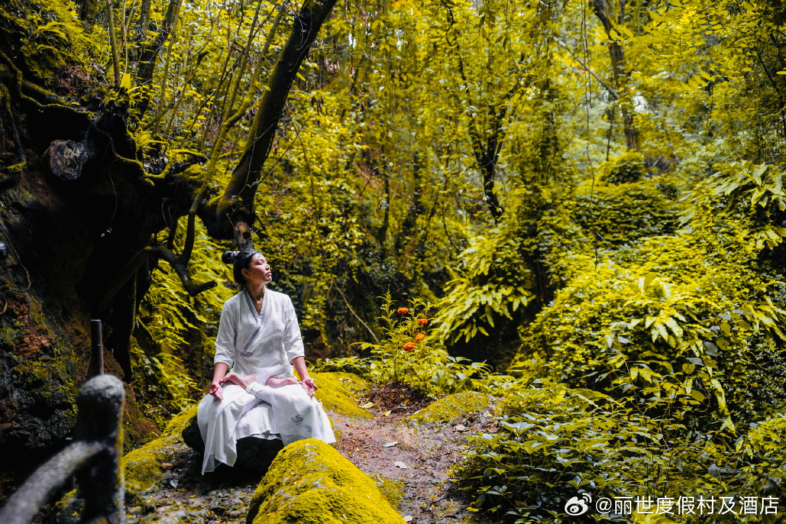 iOS最新福利直播平台,探索自然美景,寻找内心的宁静之旅