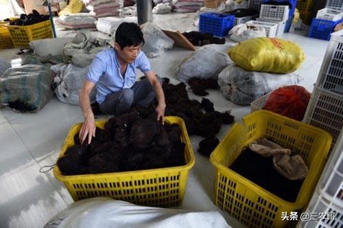 最新摇奖机下载,一种娱乐工具还是社会现象?