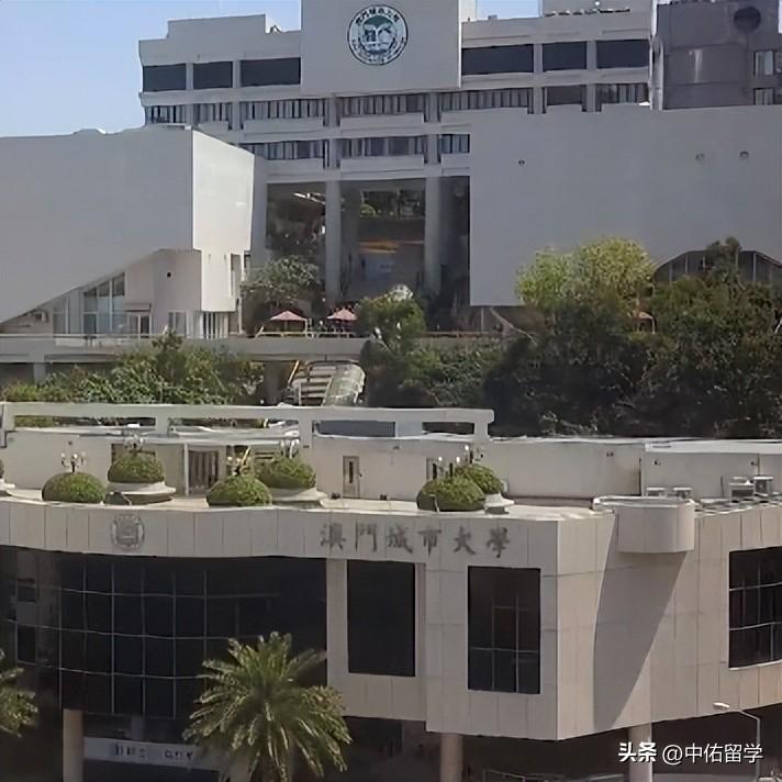 2024澳门天天开好彩大全免费,资源实施方案_W87.998