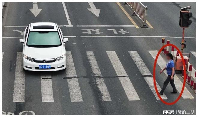 2024年澳门特马今晚开奖号码,实地评估解析说明_8K64.918