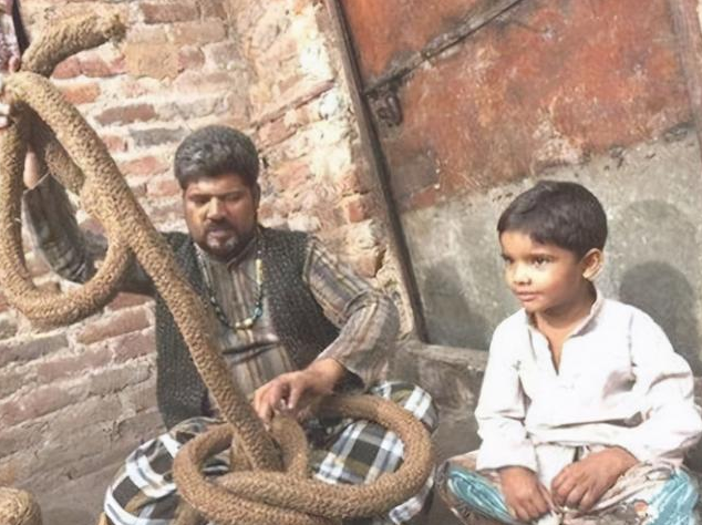 2024年今晚开奖结果查询,理论解答解释定义_基础版36.91