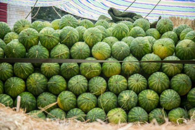 新澳门出今晚最准确一肖,现状解析说明_轻量版11.195