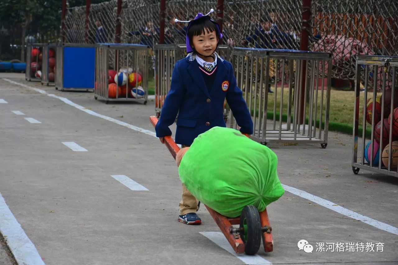 7777788888精准跑狗图,动态解析词汇_标准版90.65.32