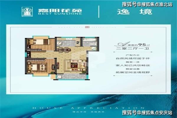 2024天天开好彩大全,预测分析说明_SP19.975