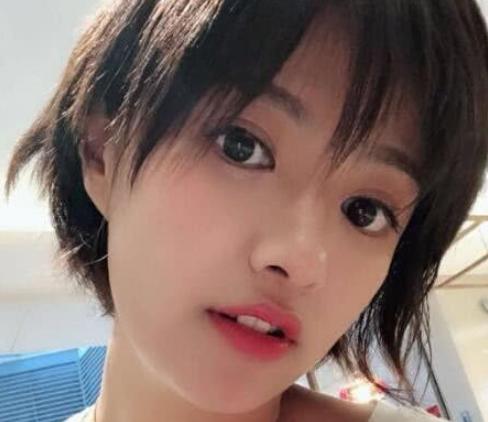 上海刚刚发生一起坠楼事件,全面数据应用执行_4K版29.951