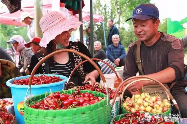 临沂樱桃价格最新行情,一场自然美景的旅行探索
