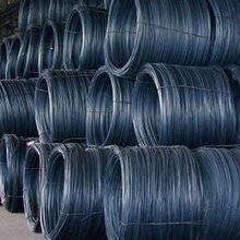 河北最新盘条6.5价格,背景、影响与地位