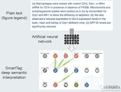 944cc资料免费大全四不像,实证数据分析_TUI23.168计算能力版