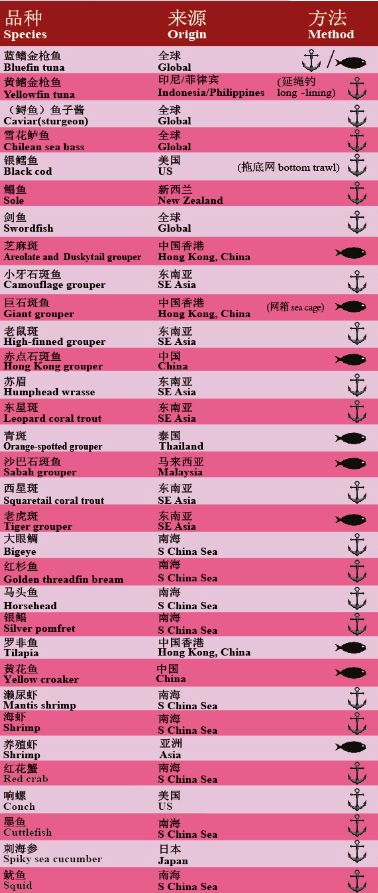 新奥天天开内部资料,持续性实施方案_WIP23.797别致版