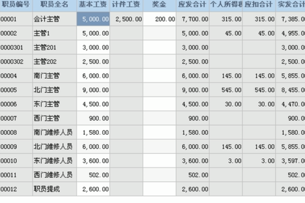 管家婆2024薪澳正版资料,实地观察解释定义_JHI23.113限量版